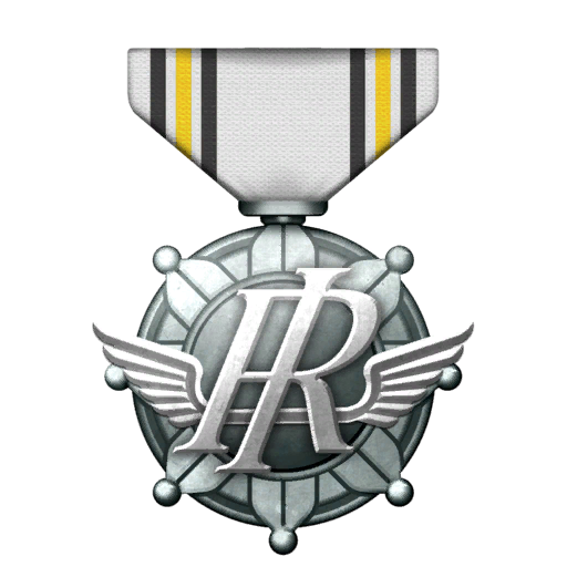 Austere Service Medal silver